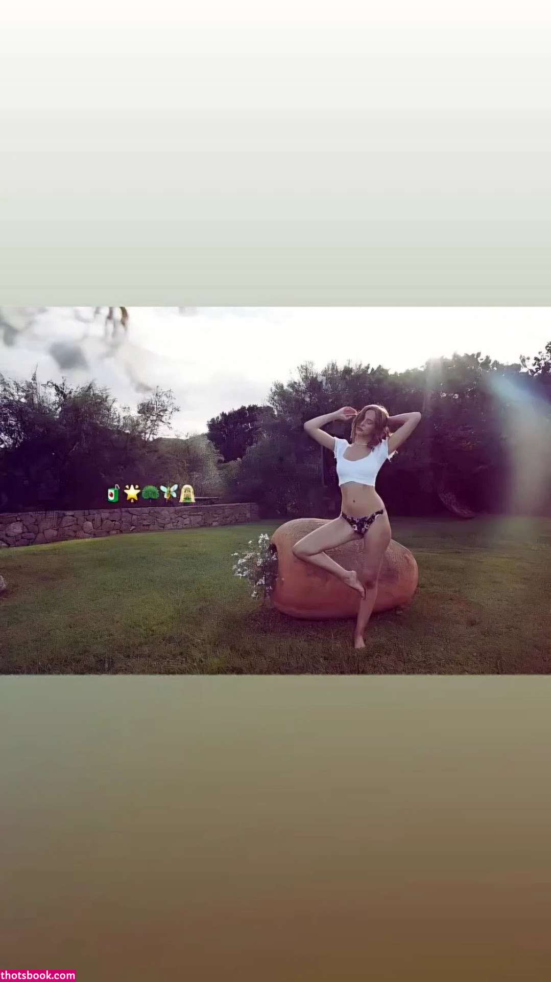 Havanna Winter Photo #19