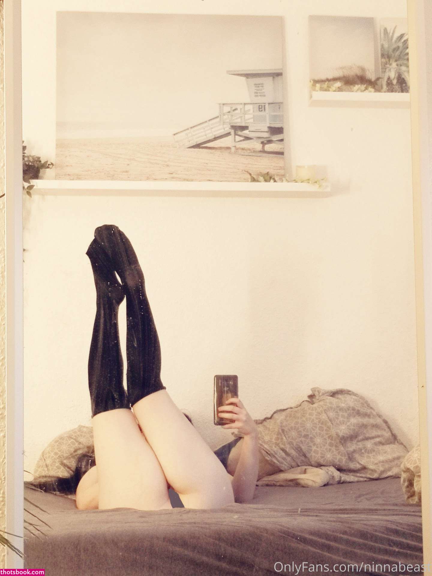 Ninnabeast Photo #20