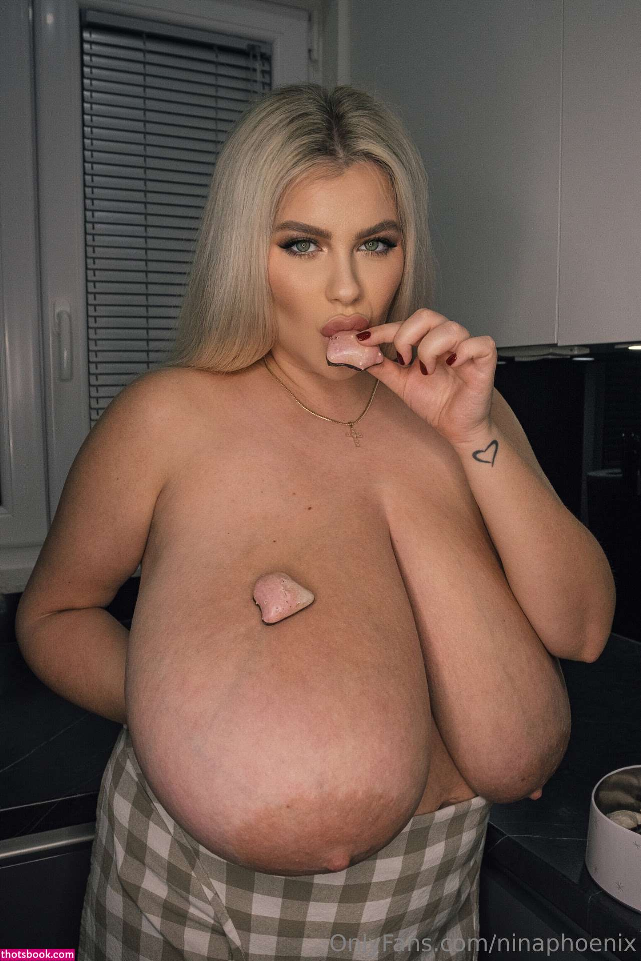 Ninaphoenix Photo #109