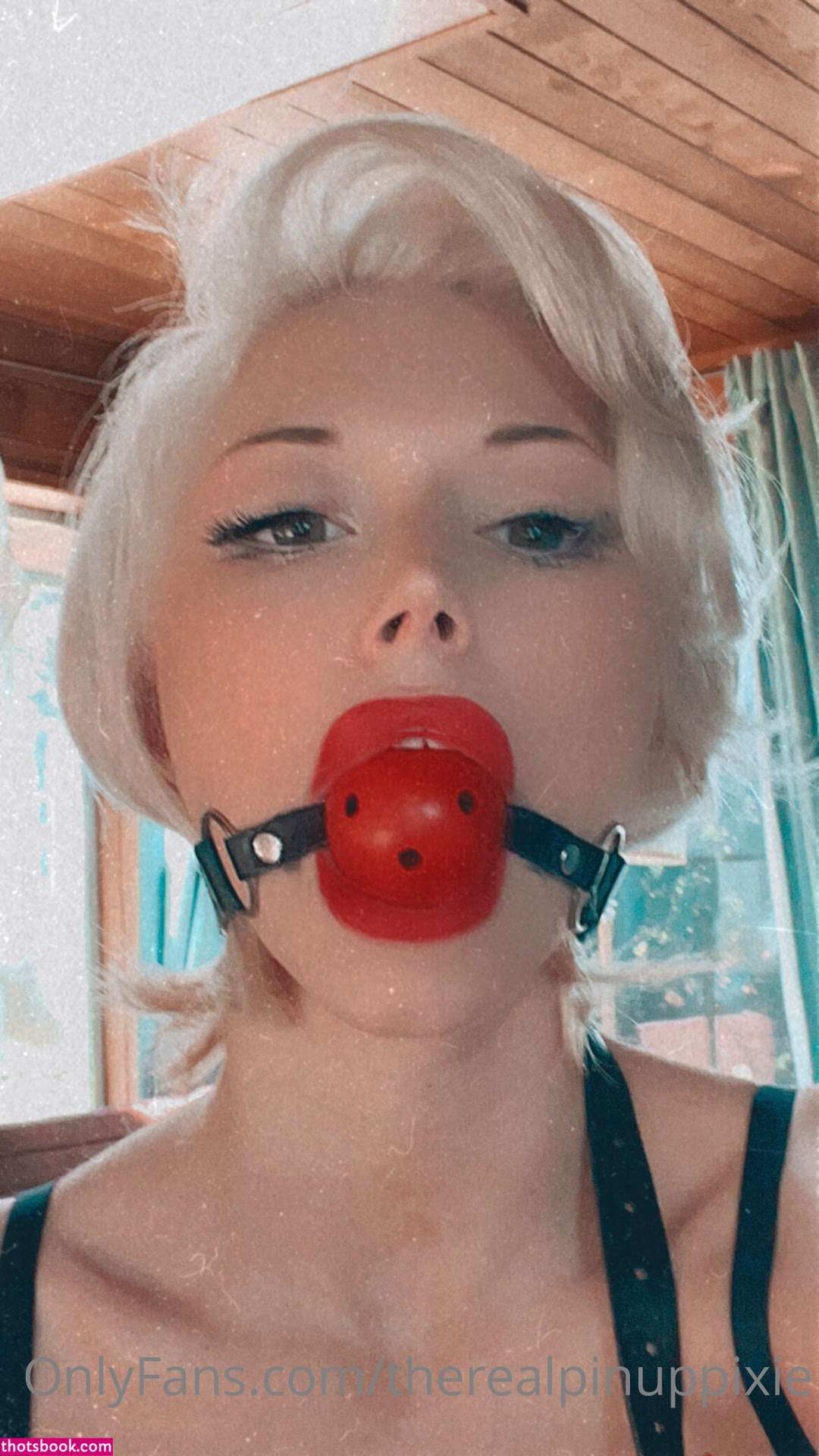 Pinuppixie Photo #338