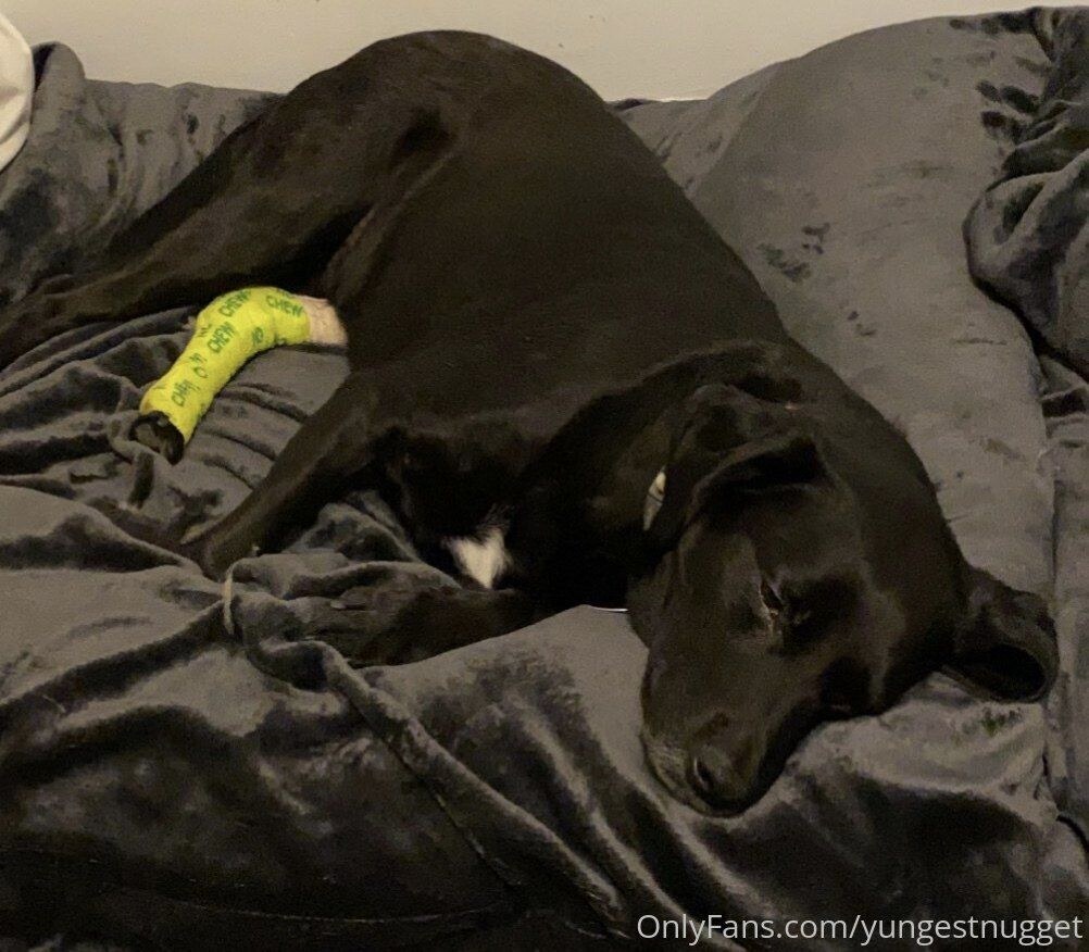 Yungestnugget Photo #85