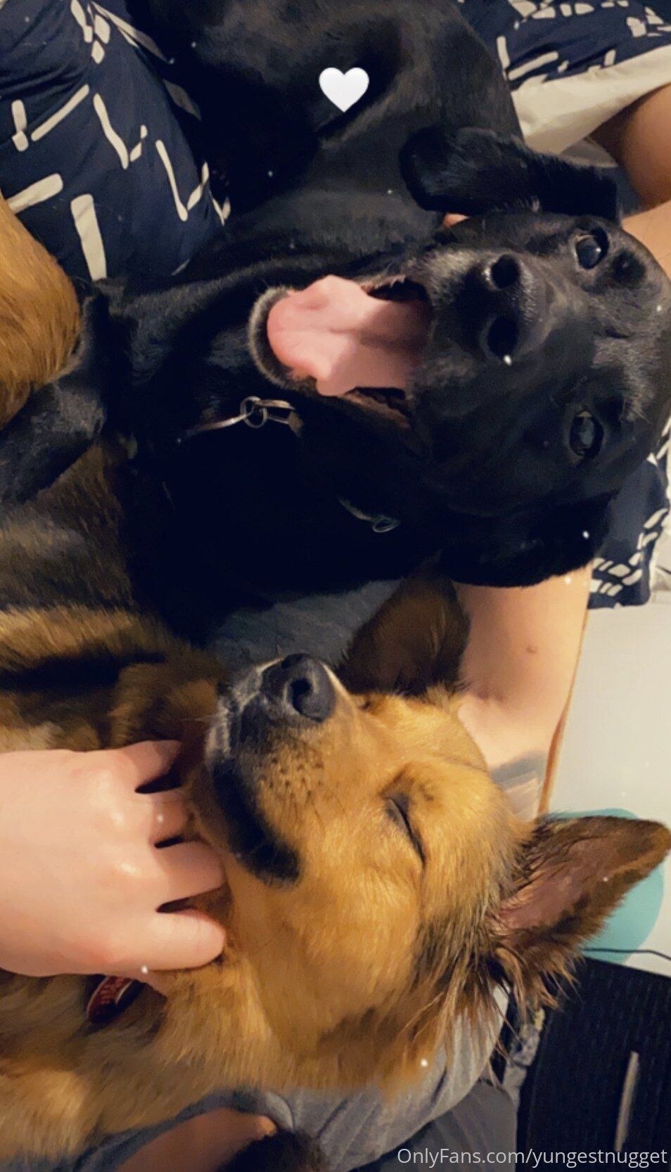 Yungestnugget Photo #237