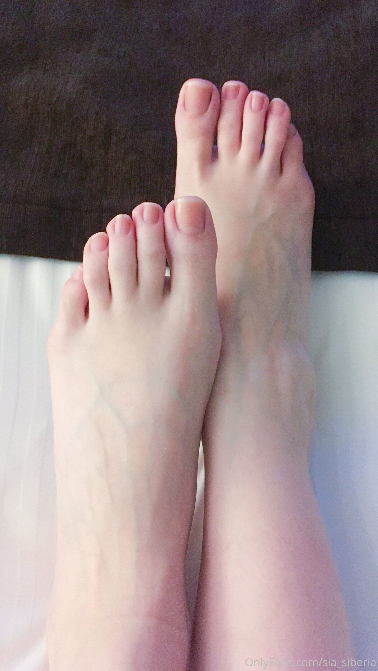 Sia Siberia Photo #79