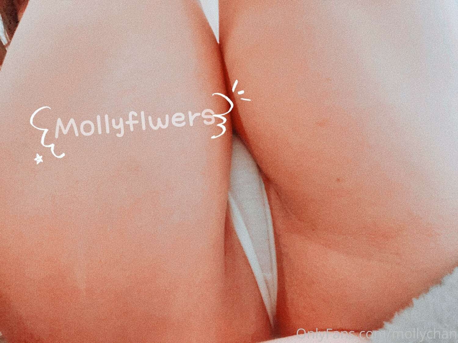 Mollyflwers Photo #4
