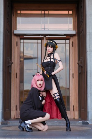 Plant Lily Photo #60