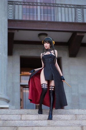 Plant Lily Photo #66