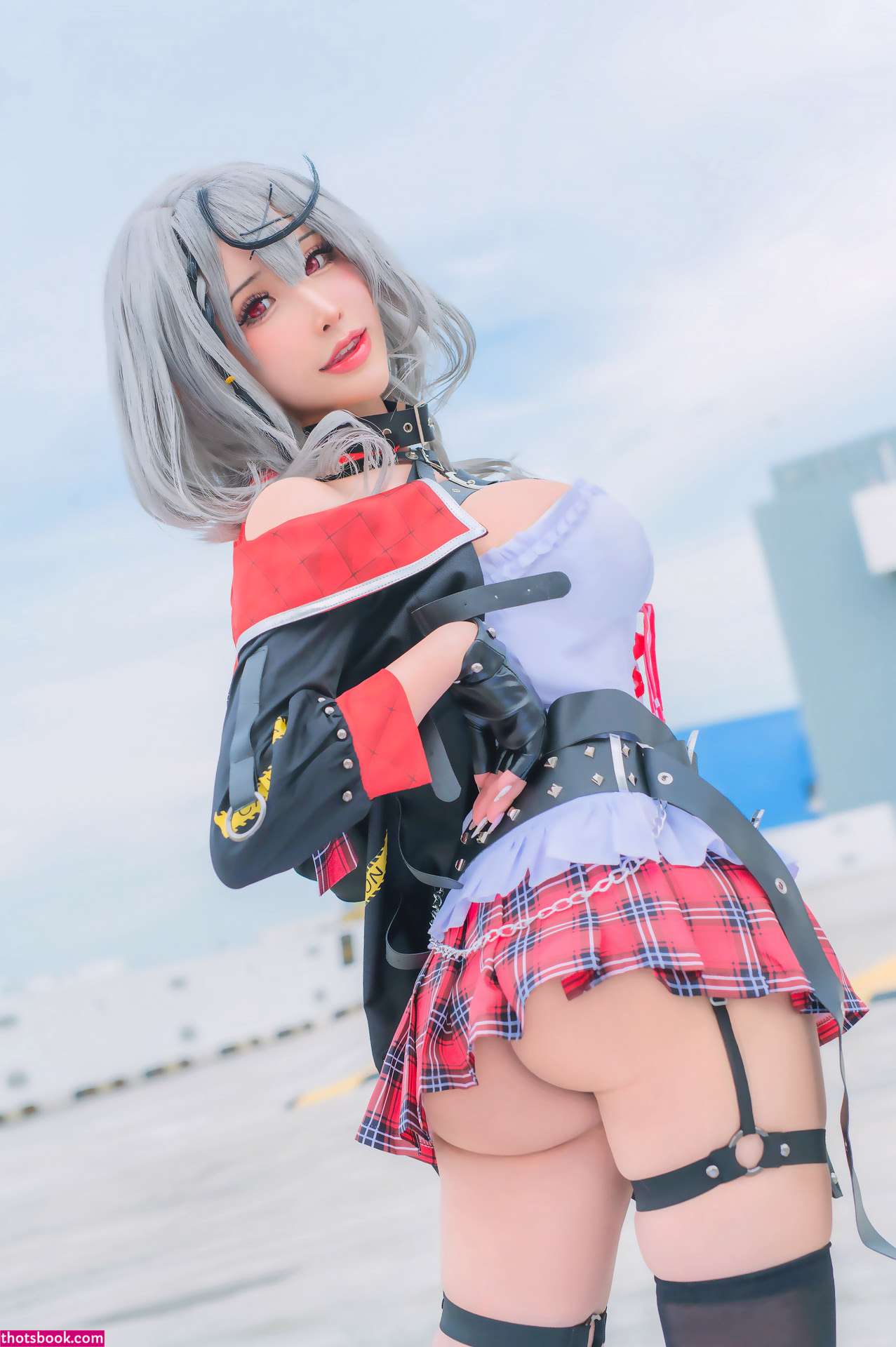 Plant Lily Photo #96