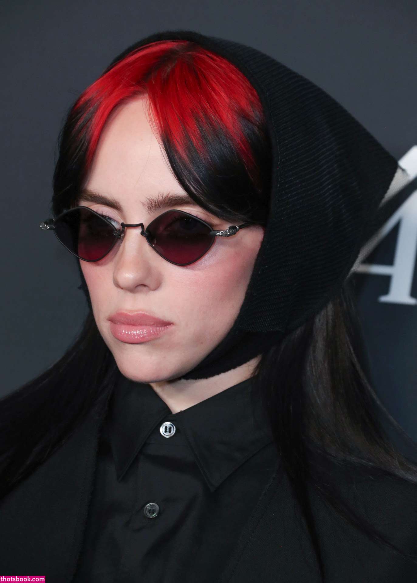 Billie Eilish Photo #214