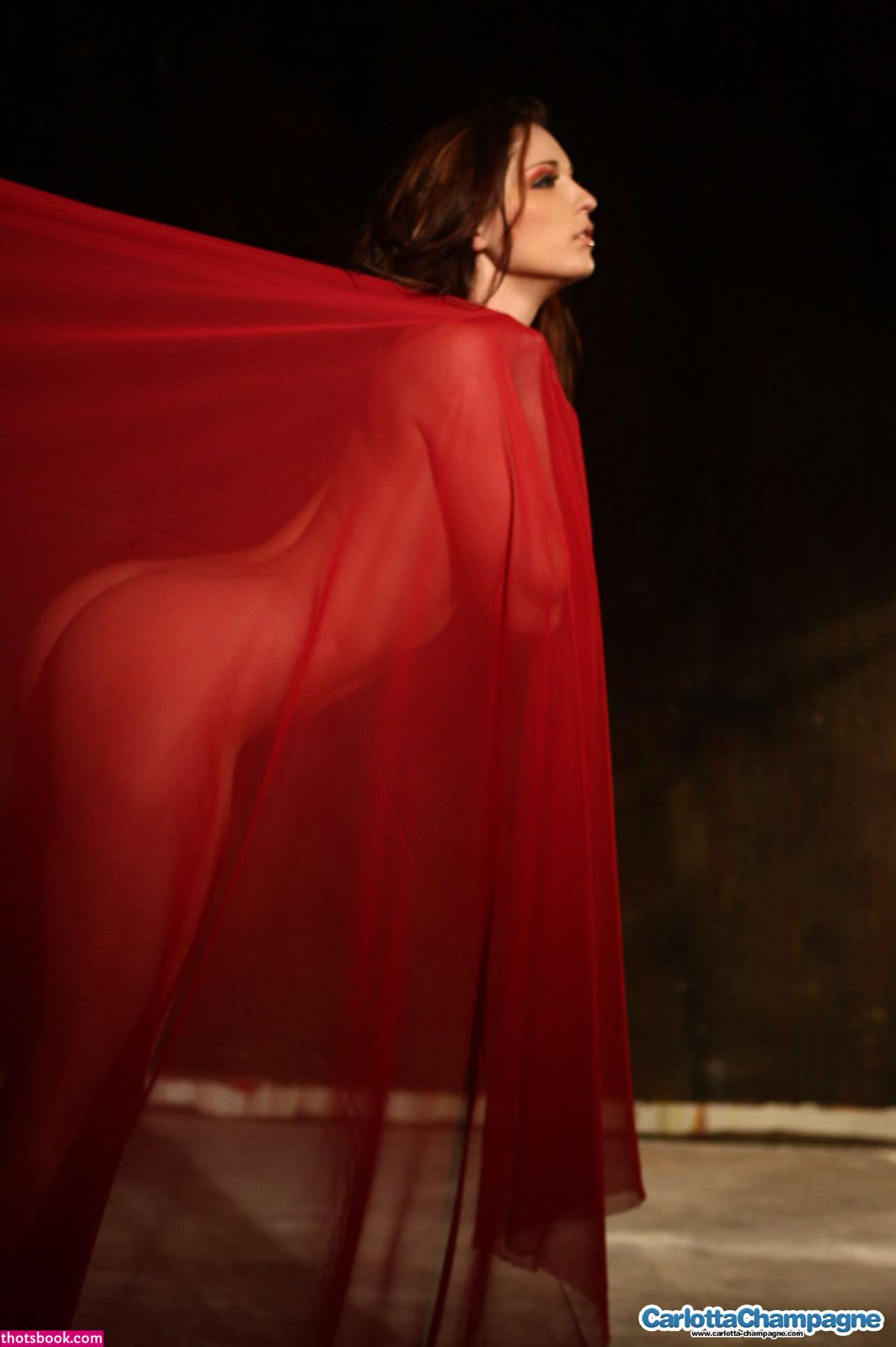 Carlotta Champagne Photo #140