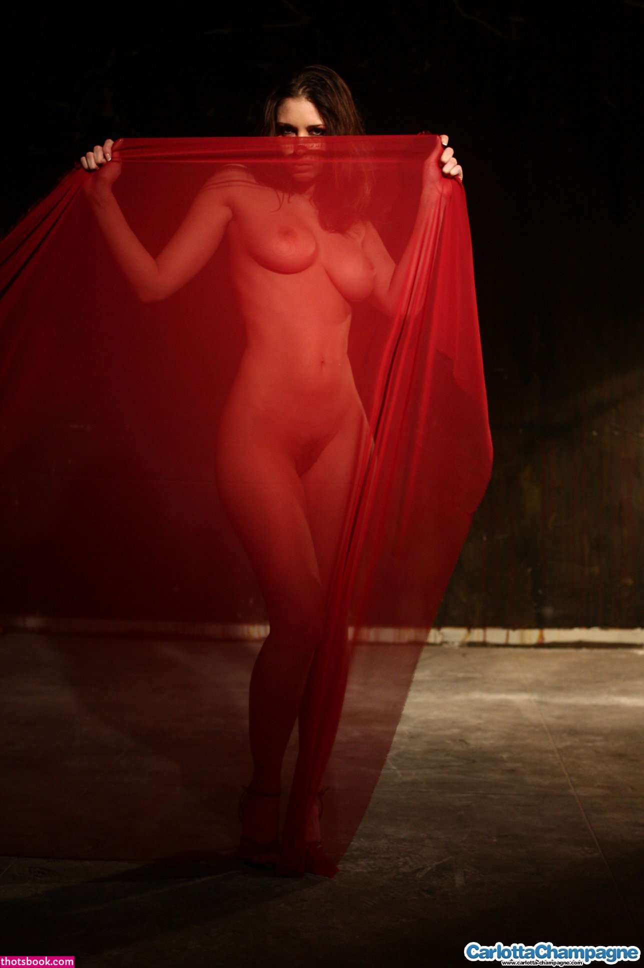 Carlotta Champagne Photo #145