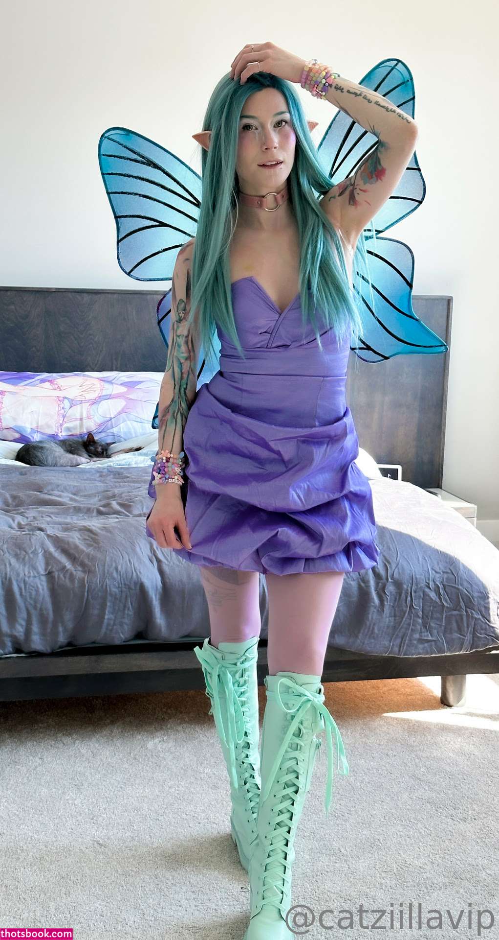 Catziilla Photo #221