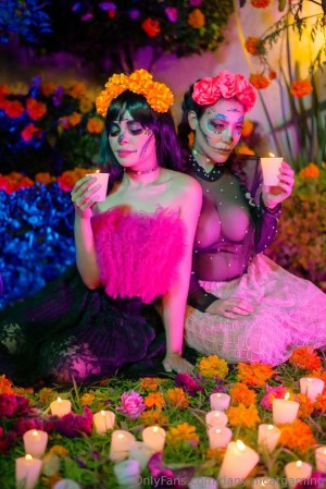 Danyancat Photo #222