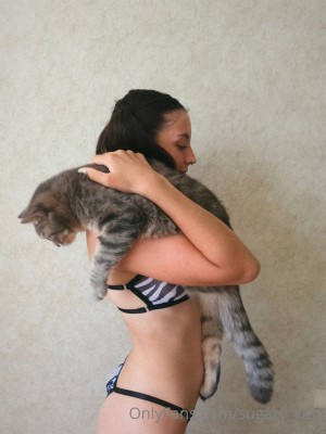 Sugary Kitty Photo #142
