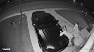 Withstandtheweight Video #181