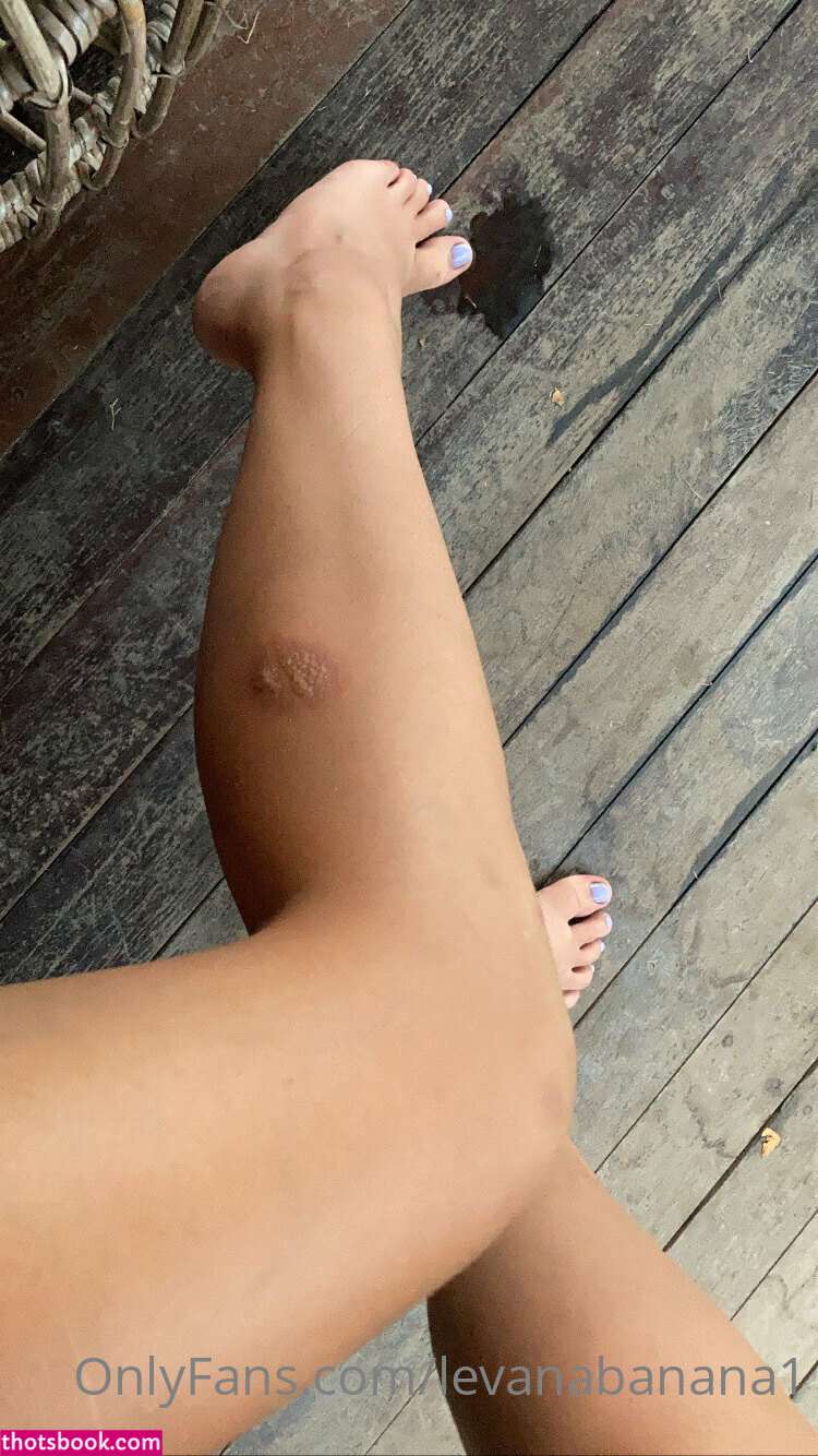 Levana Banana Photo #182