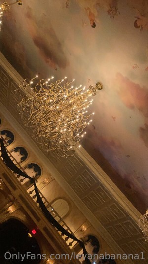 Levana Banana Photo #173