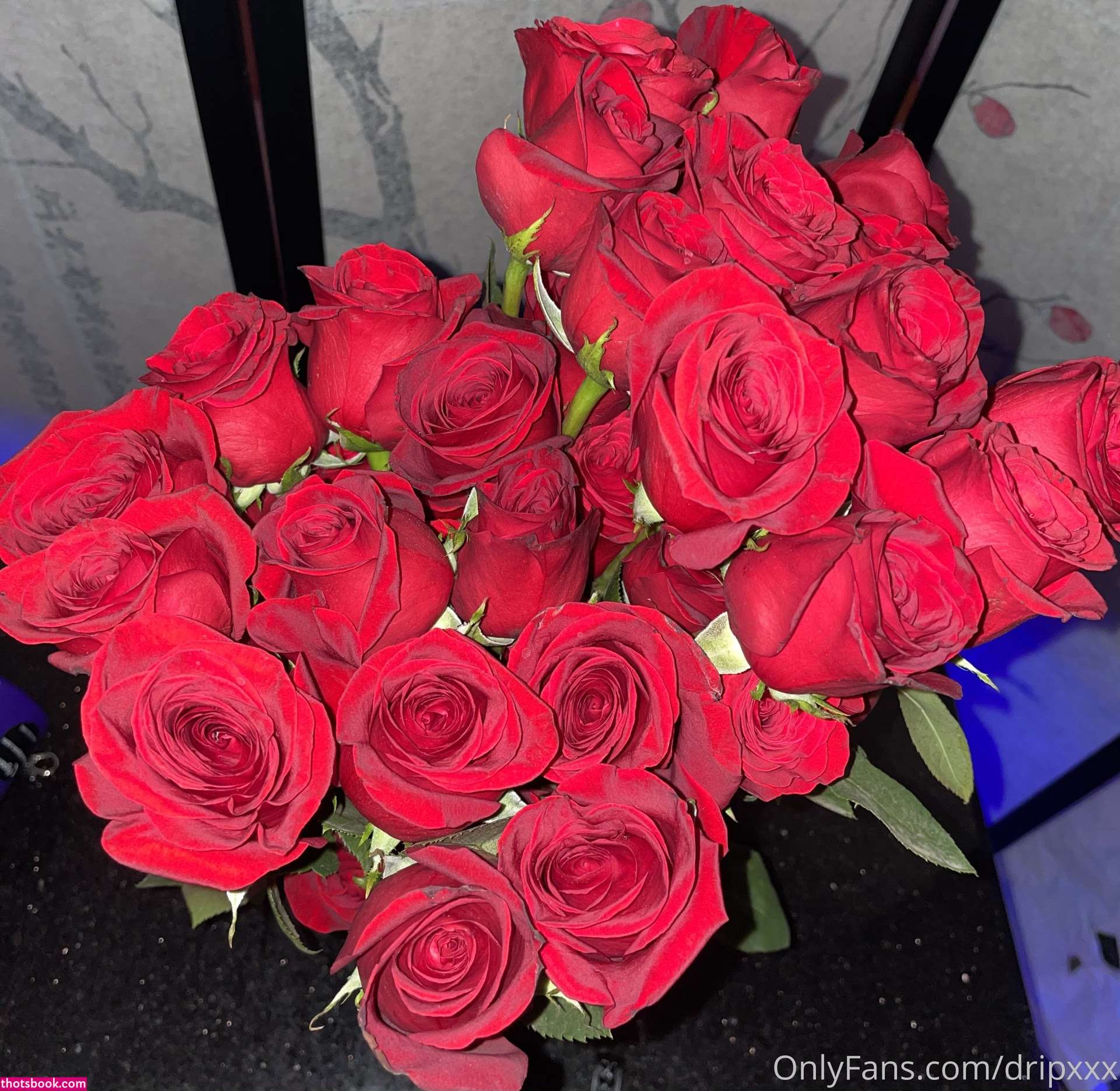 Dripdesuu Photo #179