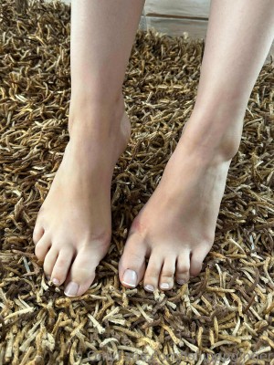 Lollipopginger Photo #163