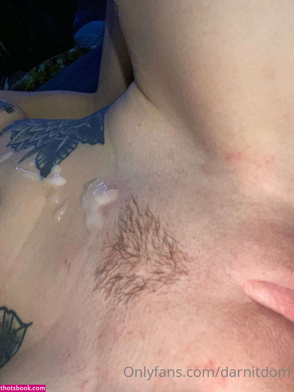 Darnit Domi Photo #7