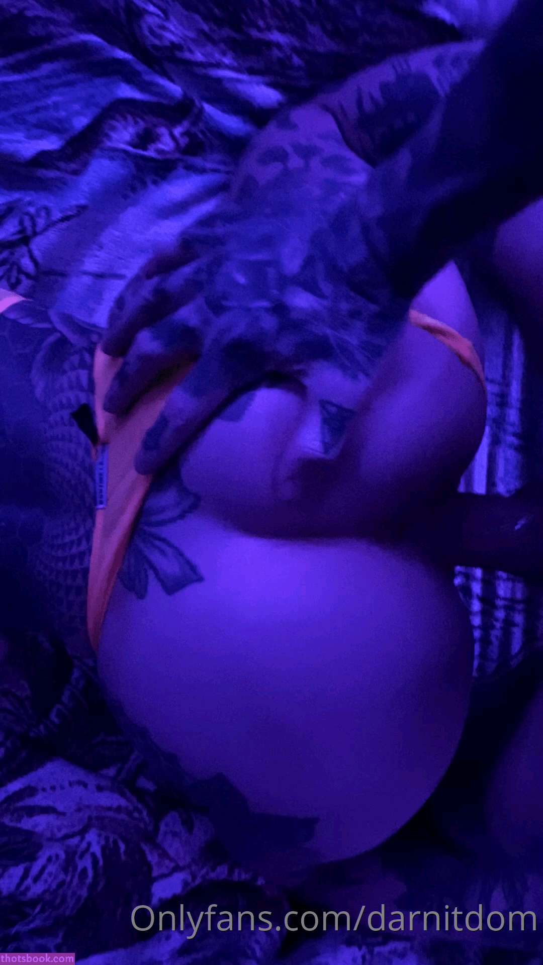 Darnit Domi Photo #128