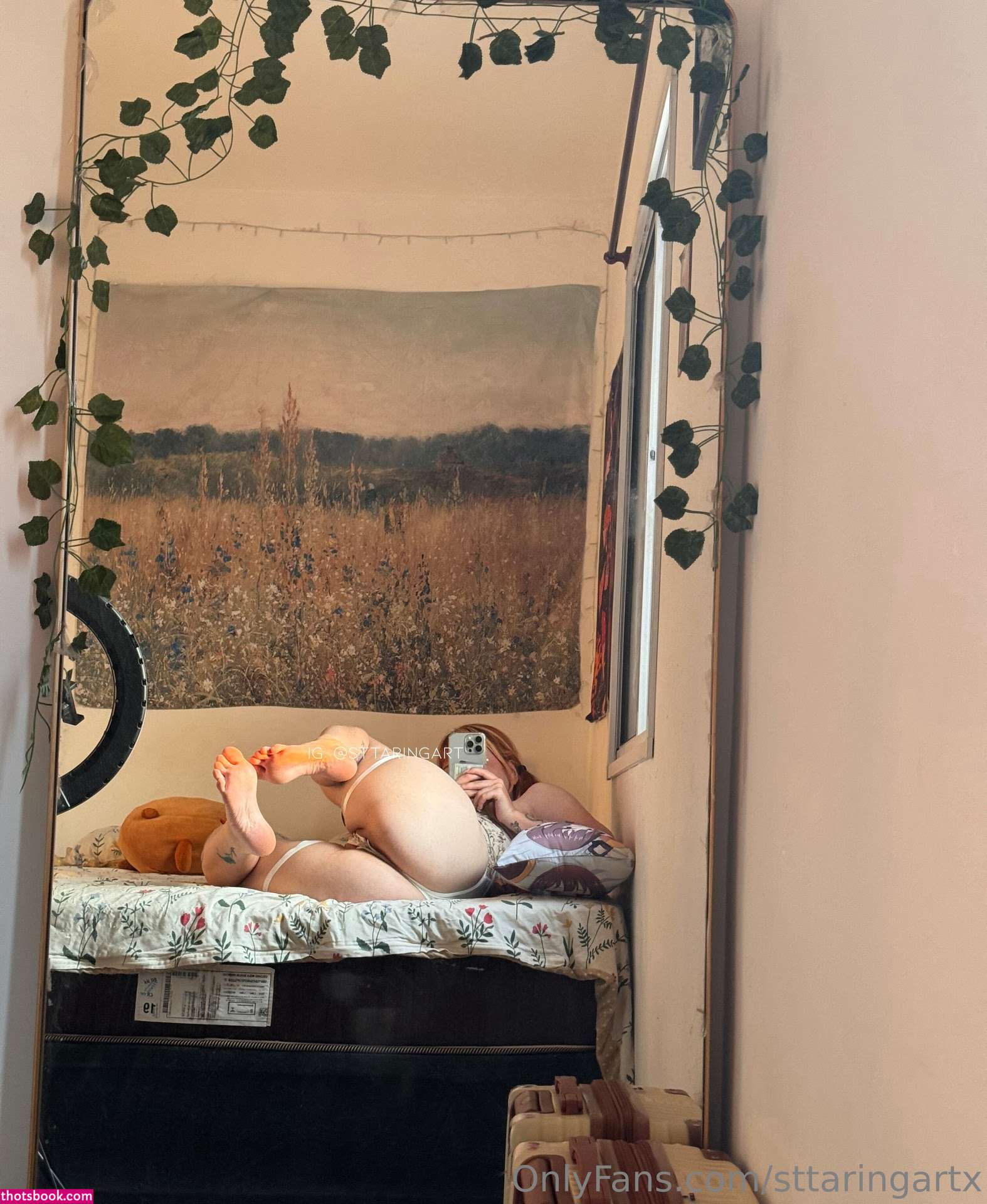 Sttaringart Photo #126