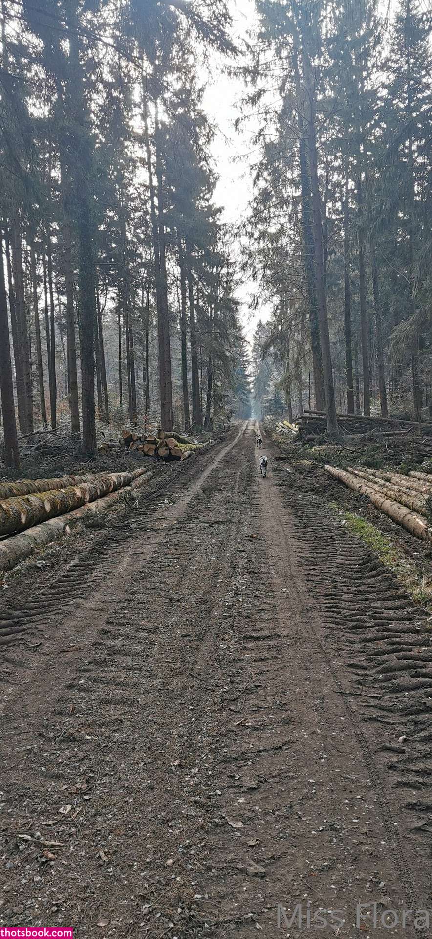 Miss Flora Femdom Photo #95