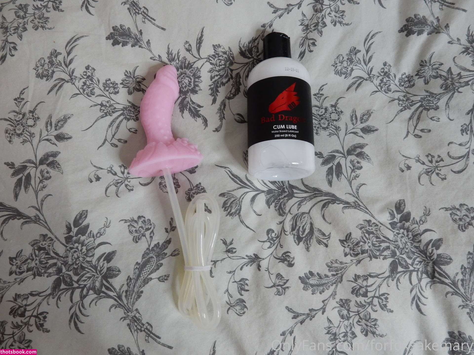 Maryanne Viau Photo #173