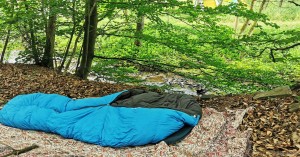 Miss Flora Femdom Photo #230