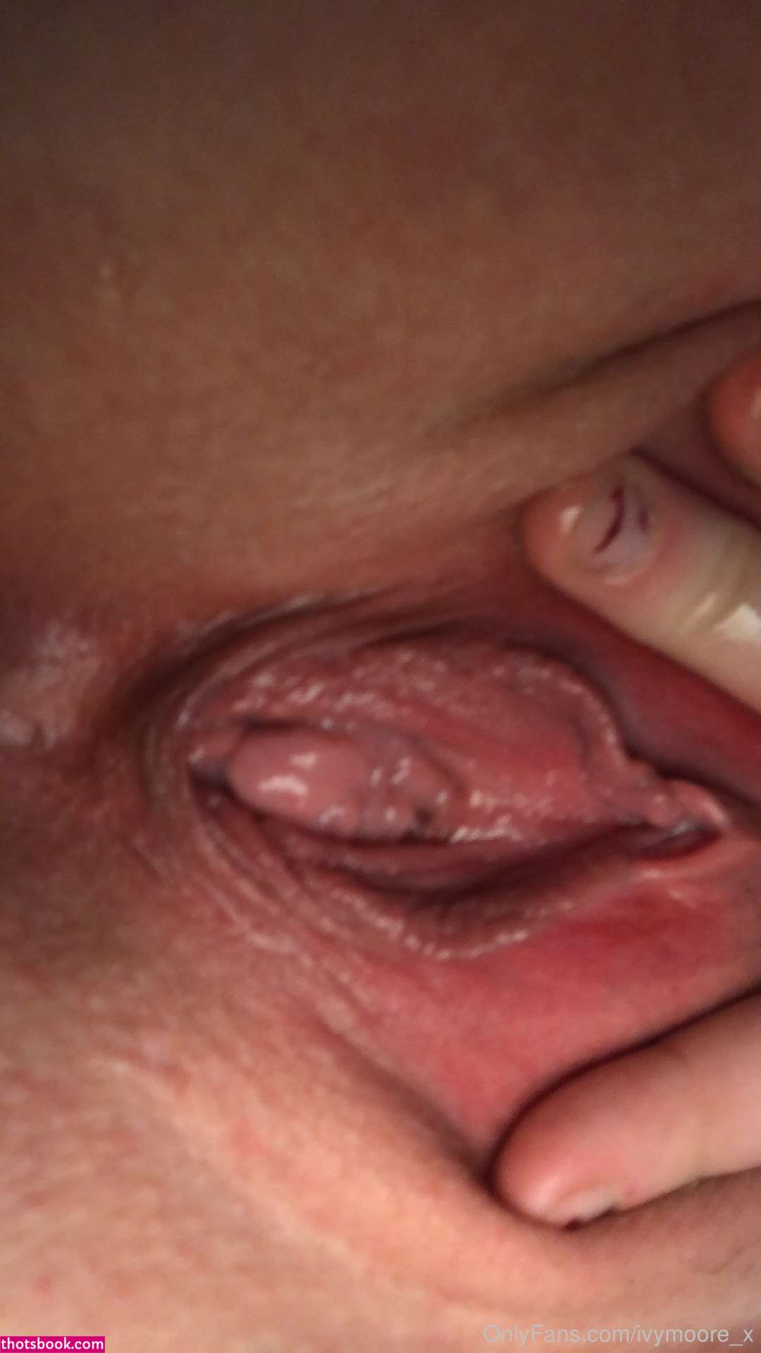 Ivymoorex Photo #110