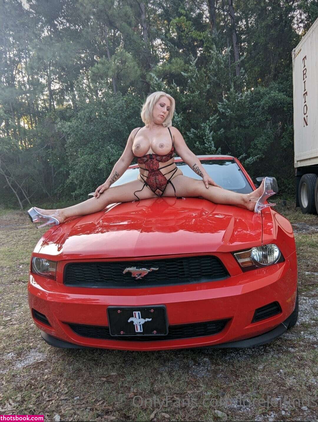 Loreleifinds Photo #291