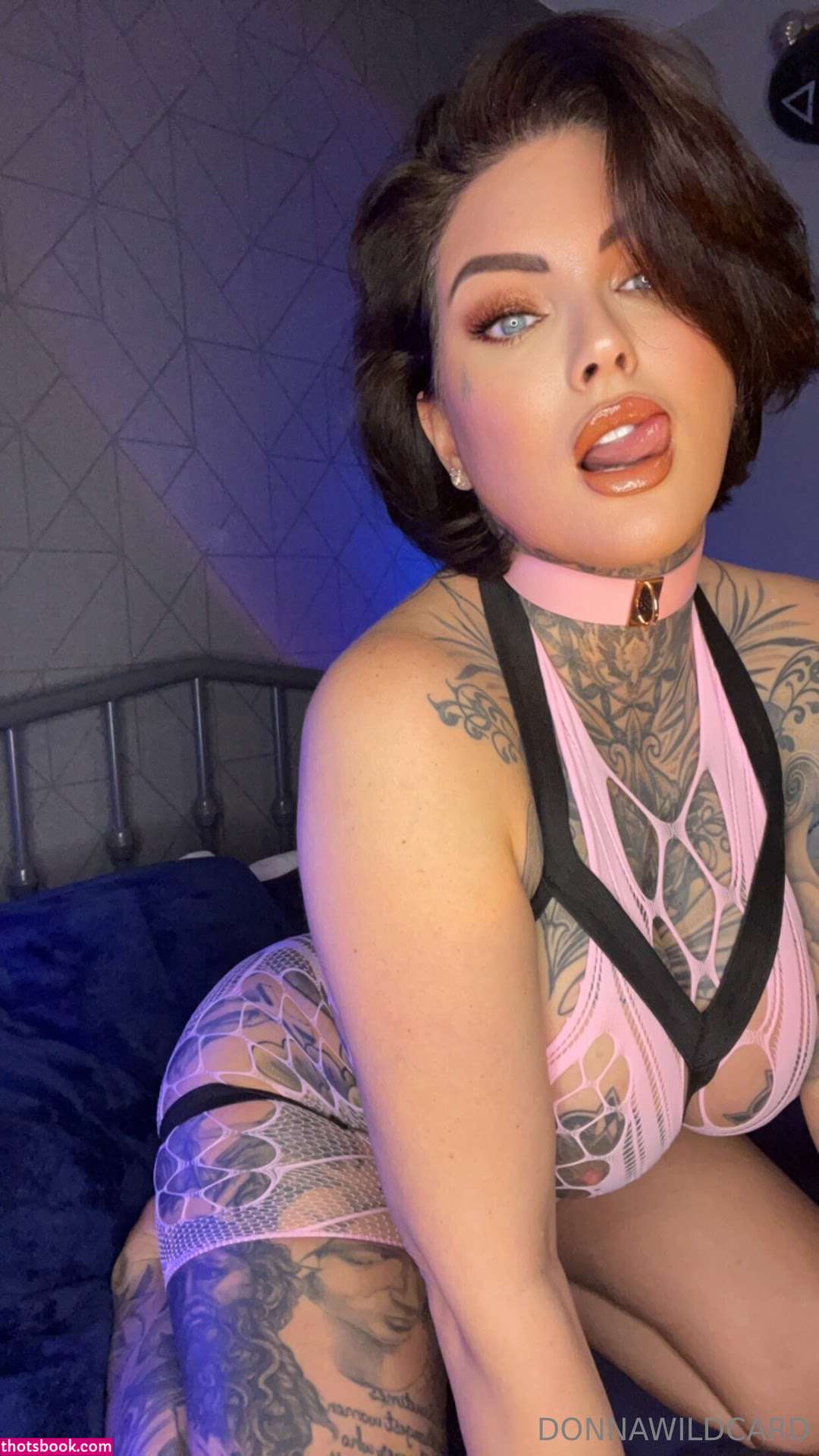 Donna Wildcard Photo #968