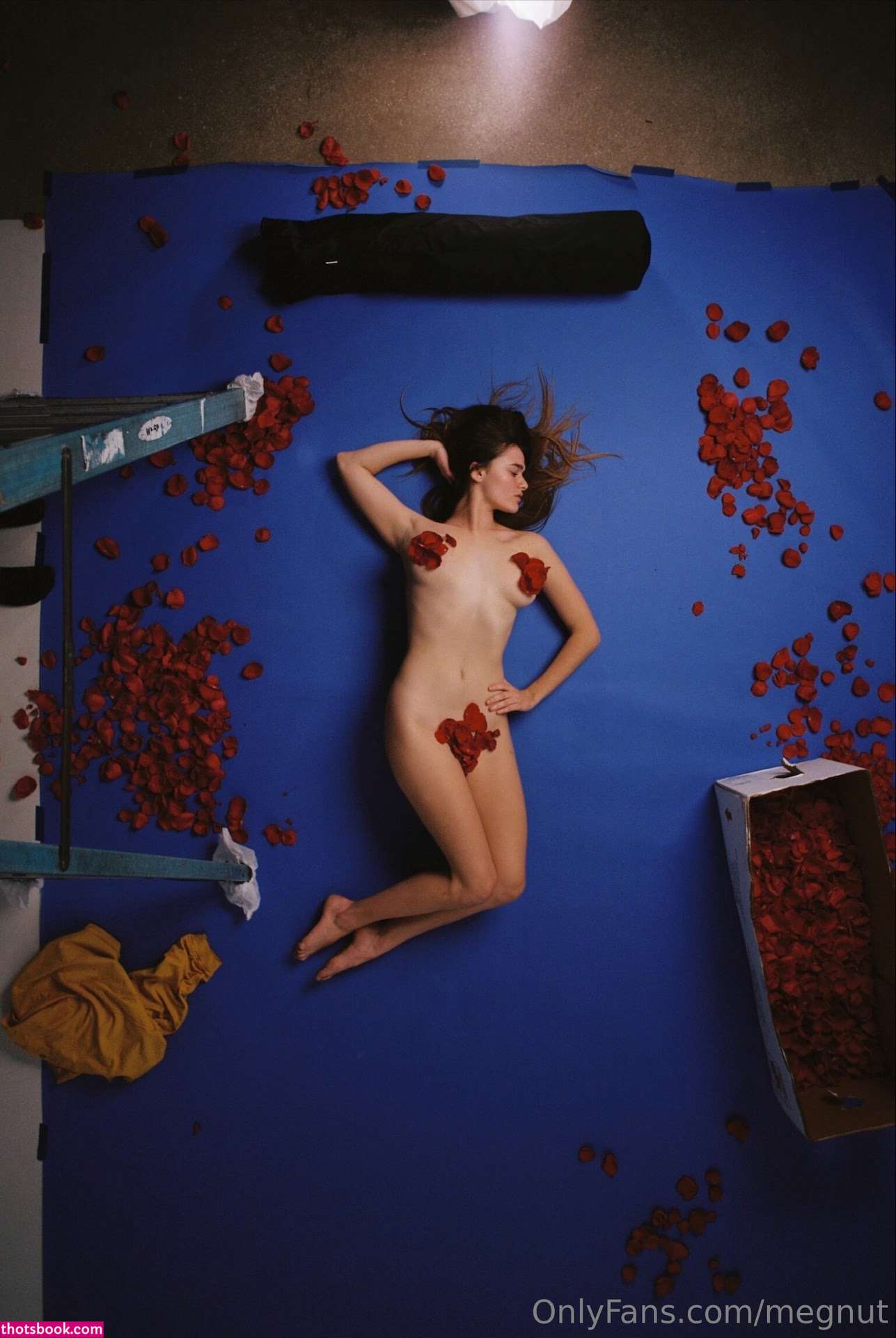 Megan Guthrie Photo #1183