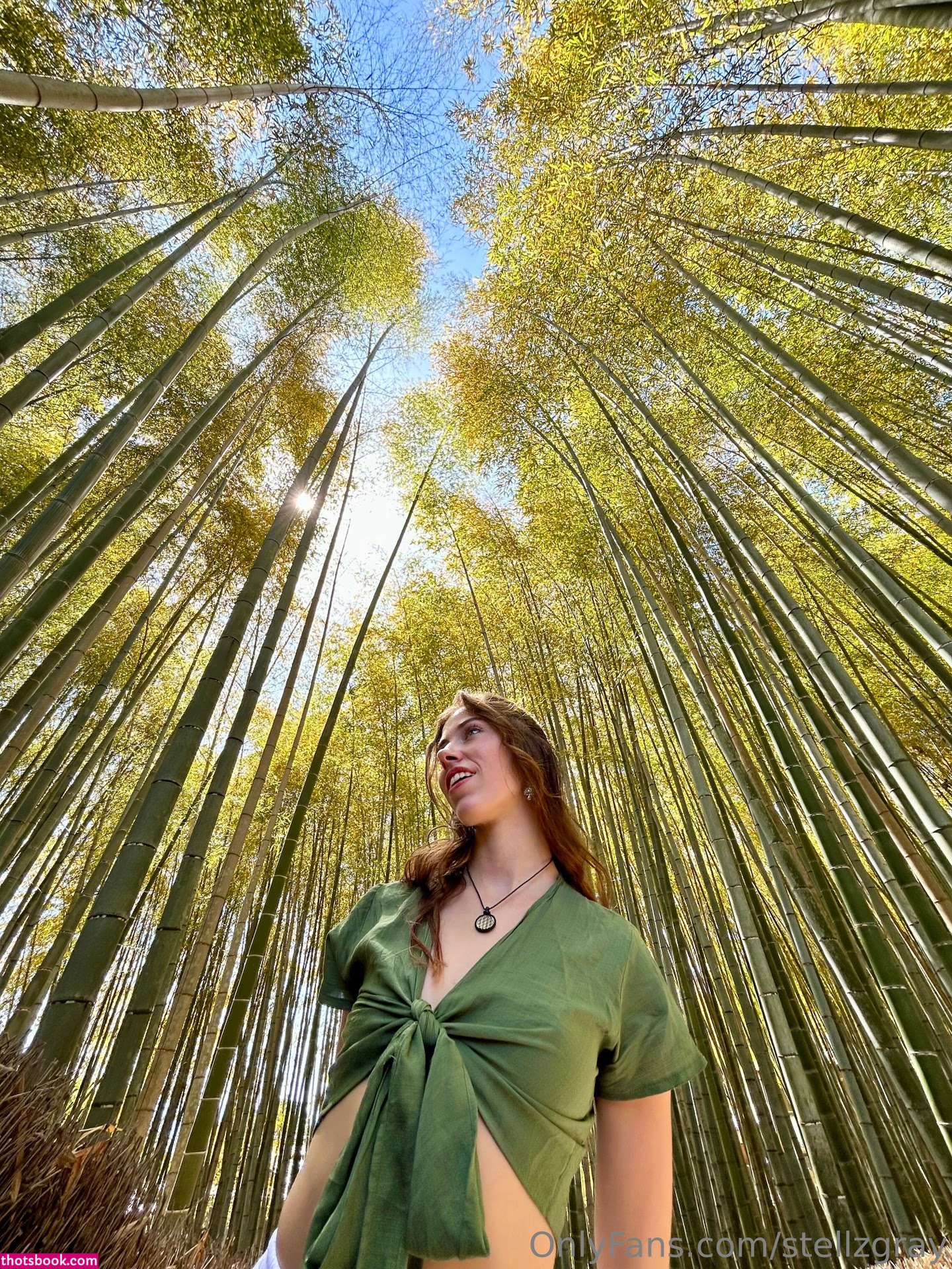 stellzgray Photo #121