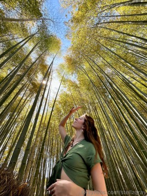 stellzgray Photo #128