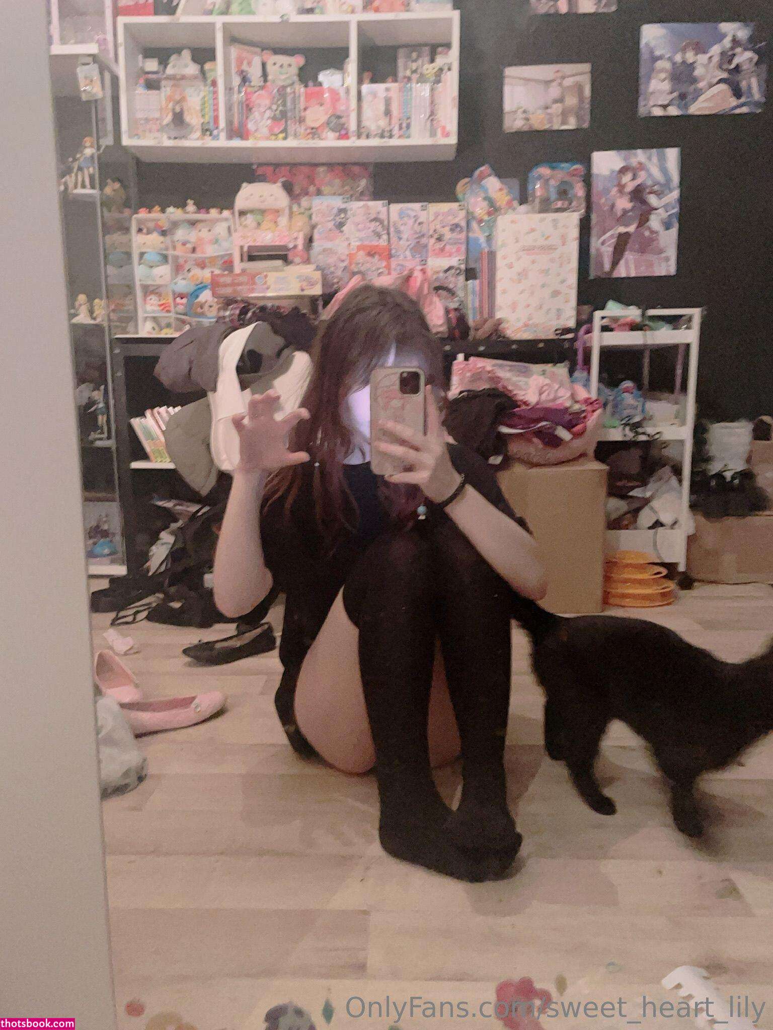 Goldenpupu Photo #18