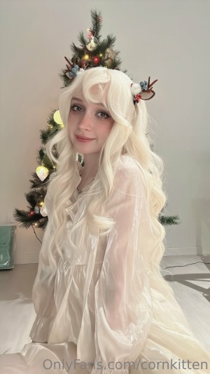 cornkitten Photo #34