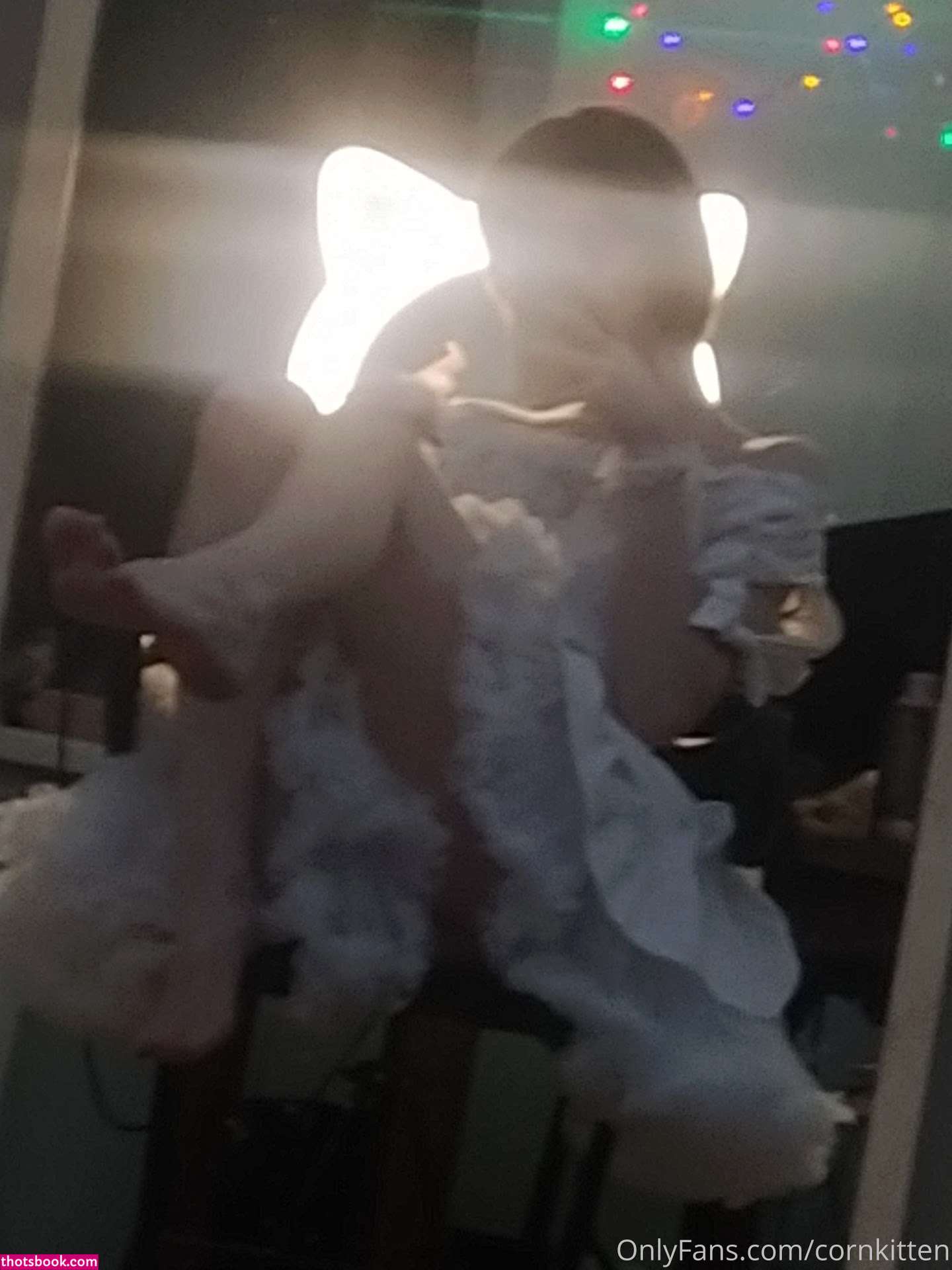 cornkitten Photo #183