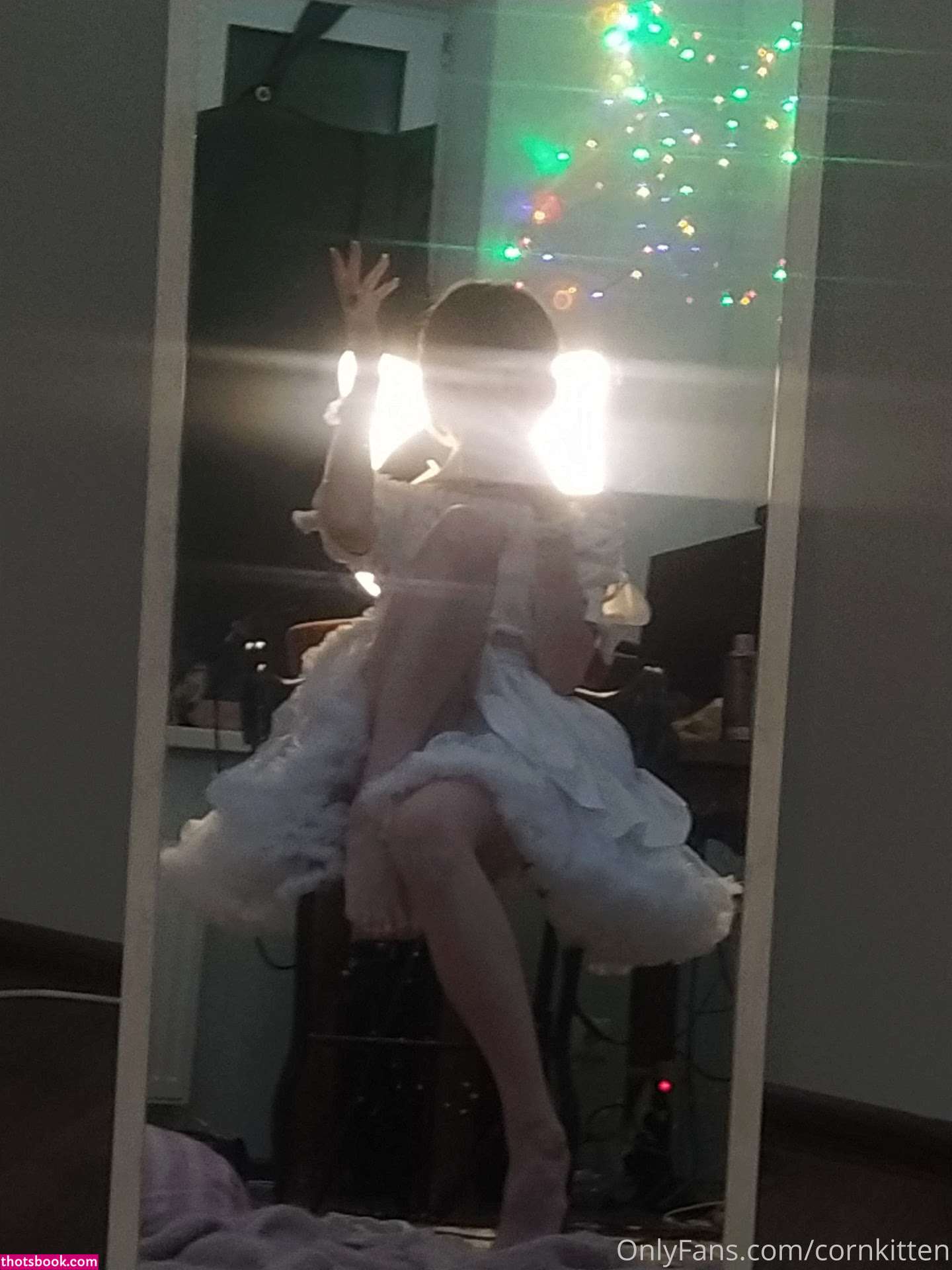 cornkitten Photo #231