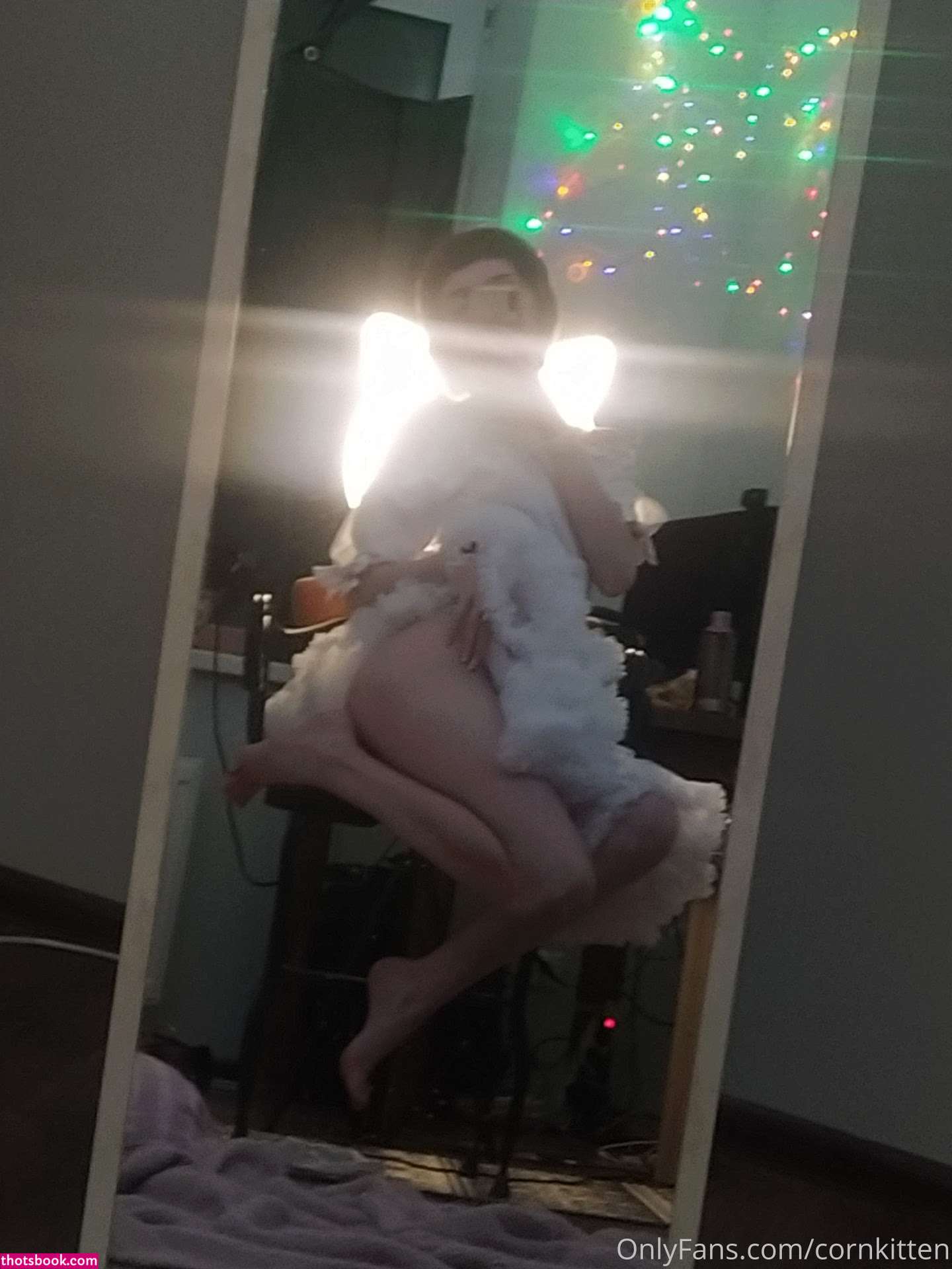 cornkitten Photo #257