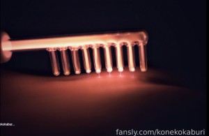 konekokaburi Photo #12