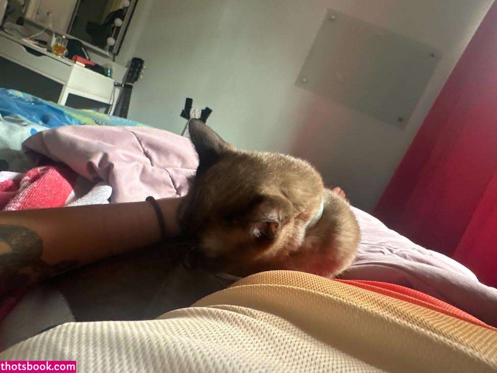 Colleen Augustin Photo #39