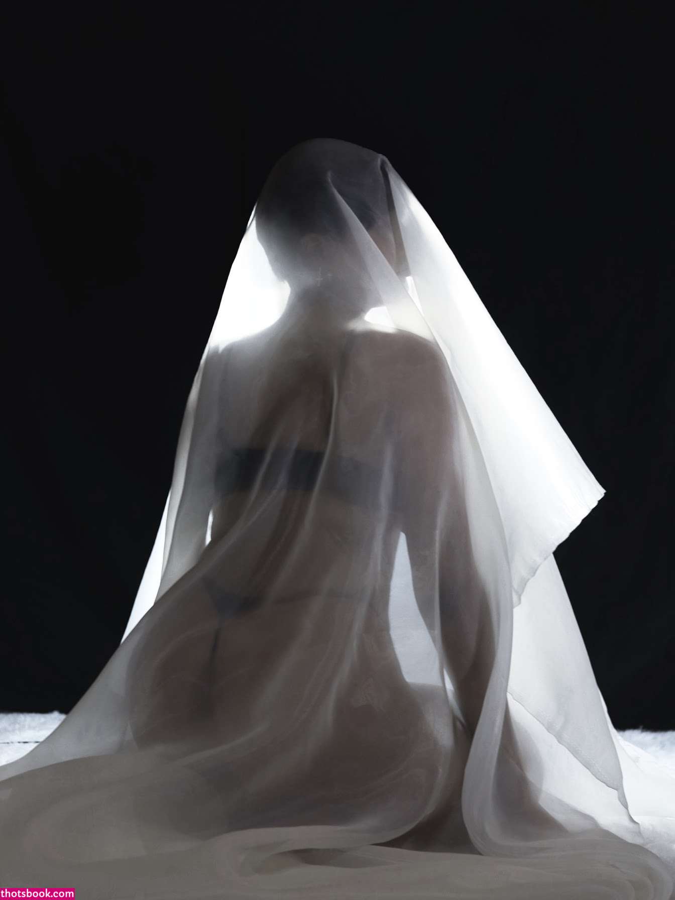 Fa Shadows Photo #22