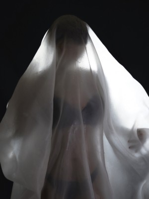 Fa Shadows Photo #21