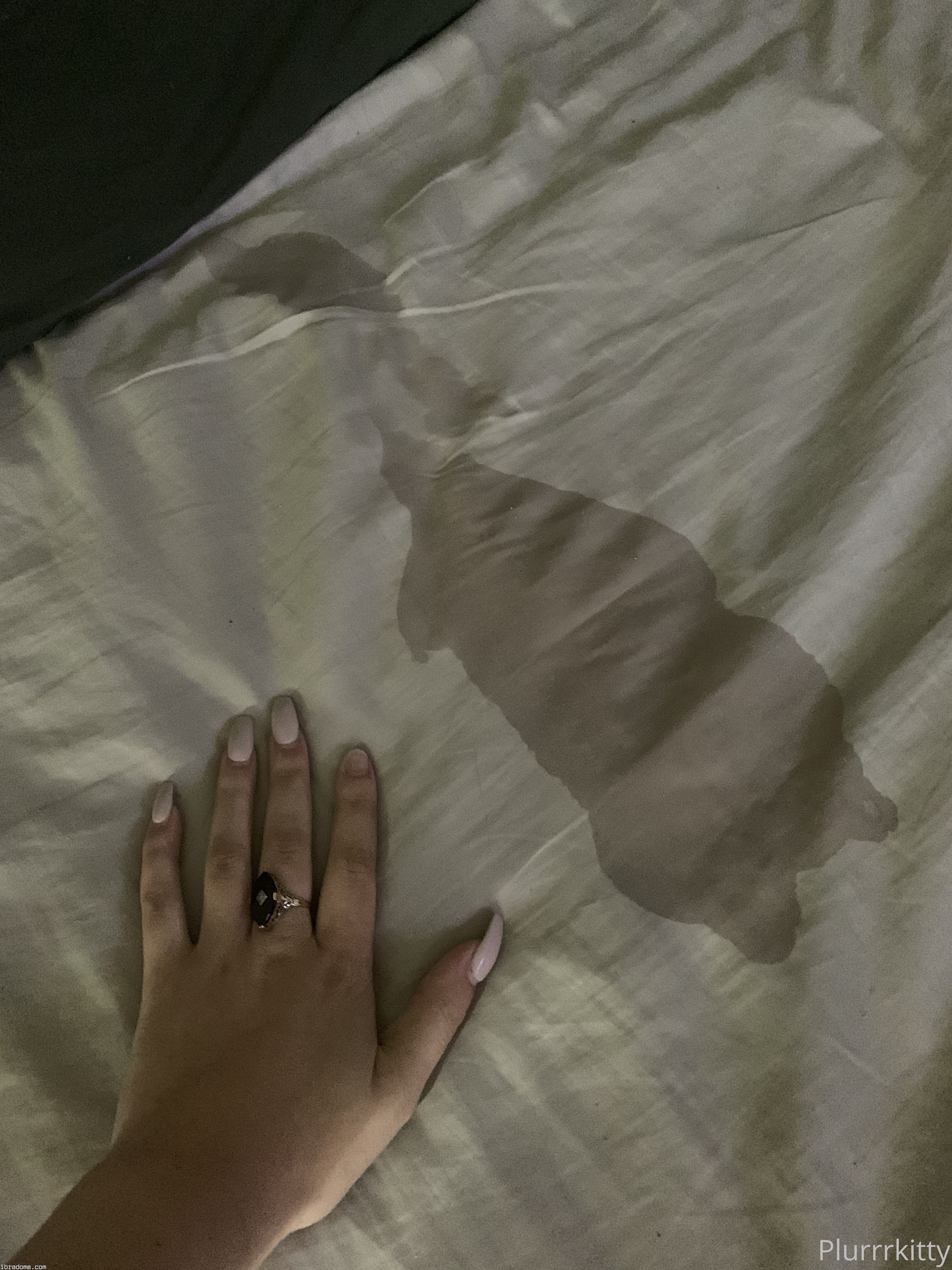 Claire Estabrook Photo #169