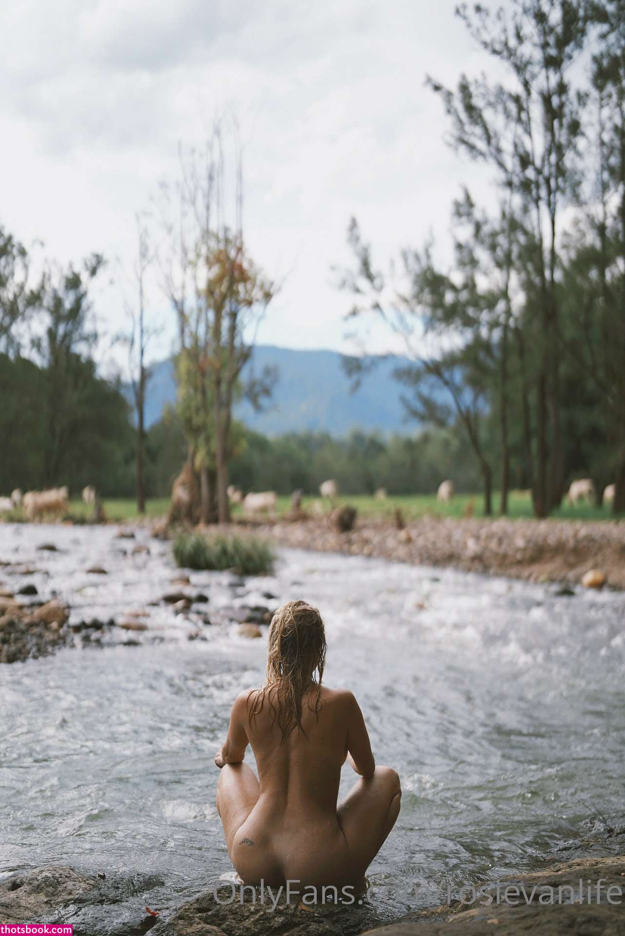 Rosievanlife Photo #15