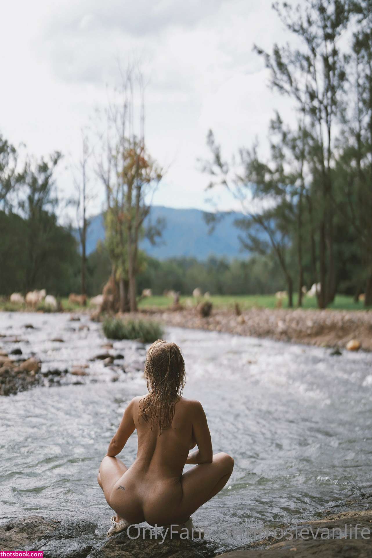 Rosievanlife Photo #16