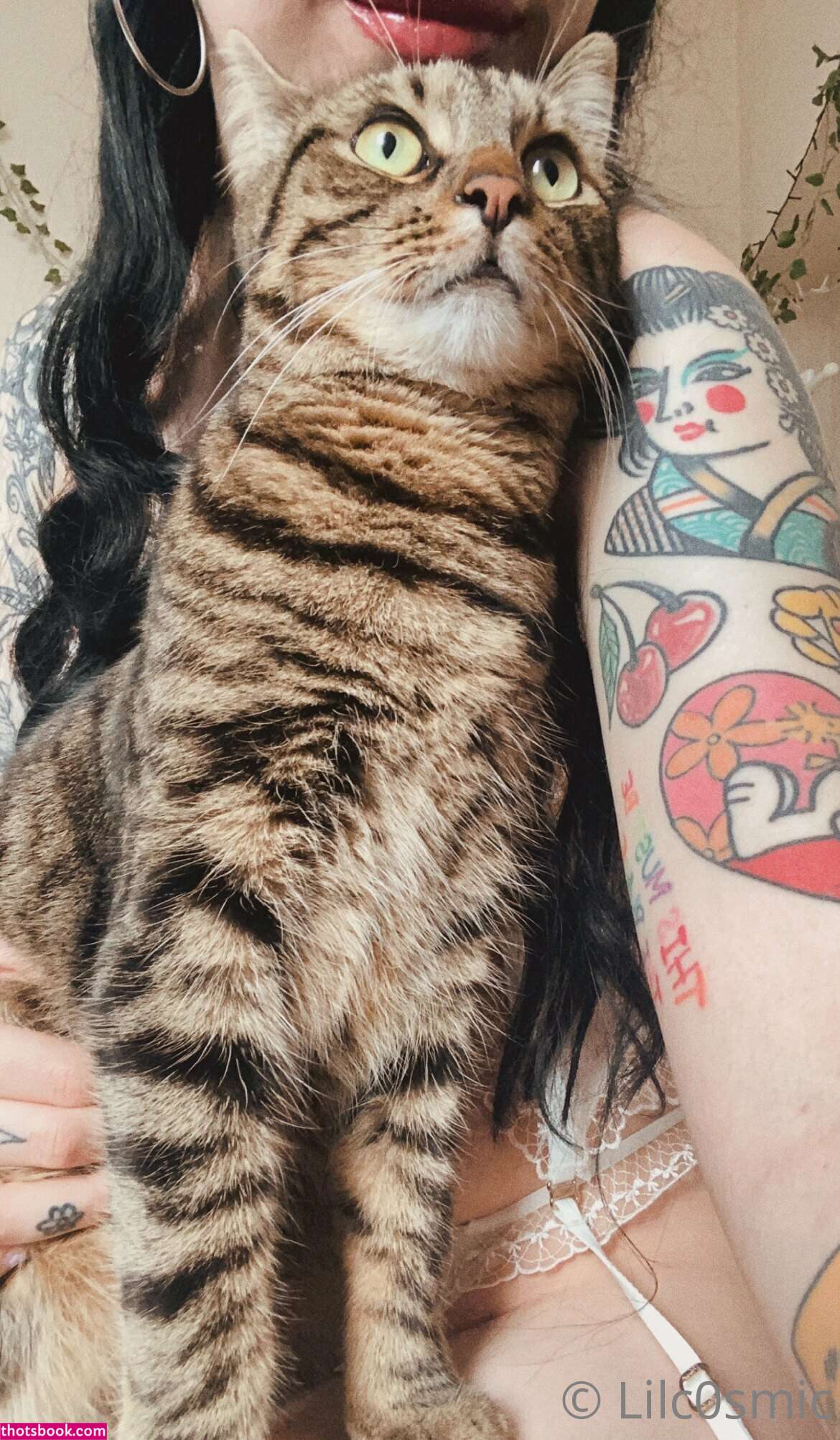 Cosmiccreatures Photo #8