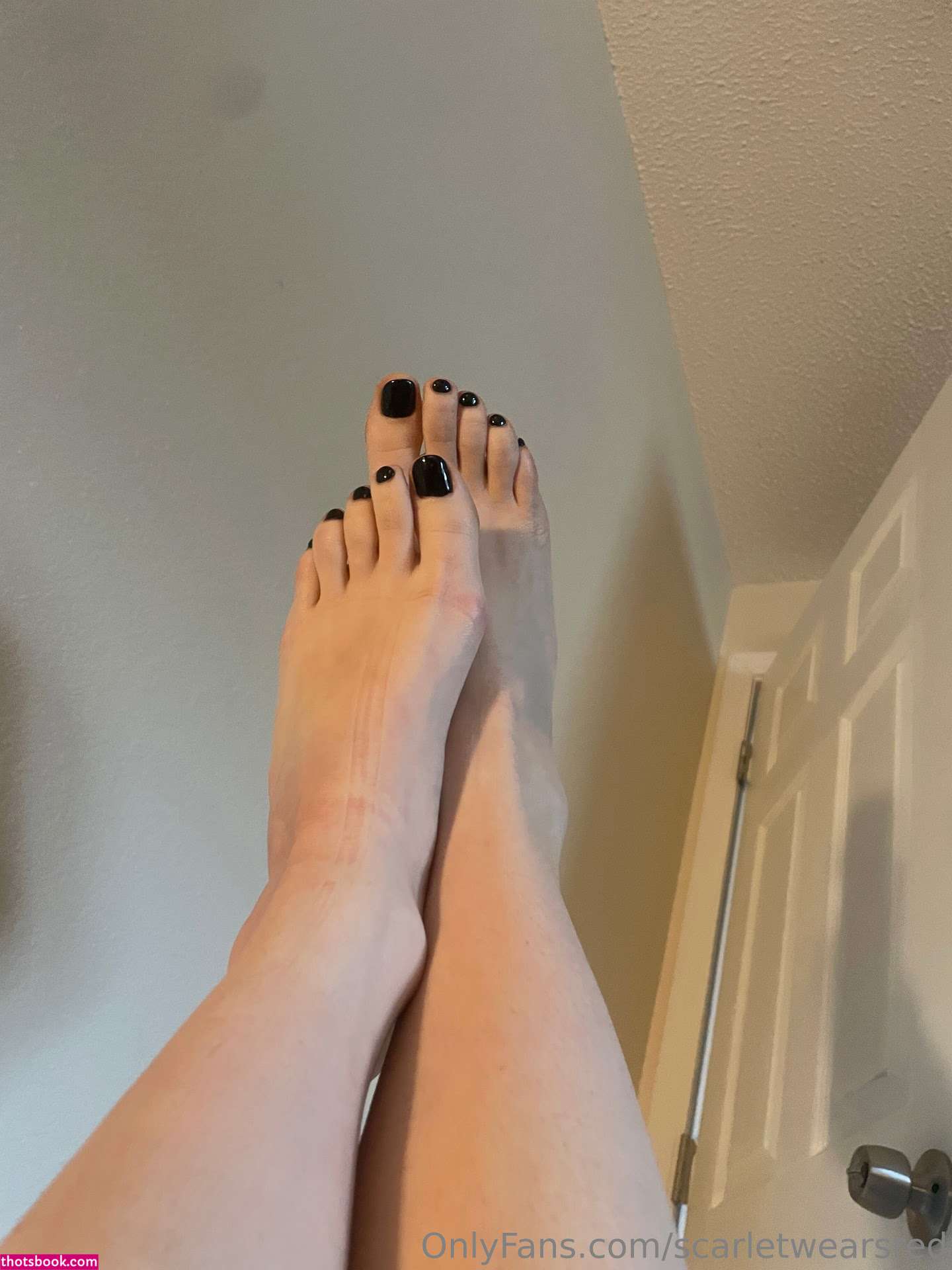 Scarlet Harper Photo #70