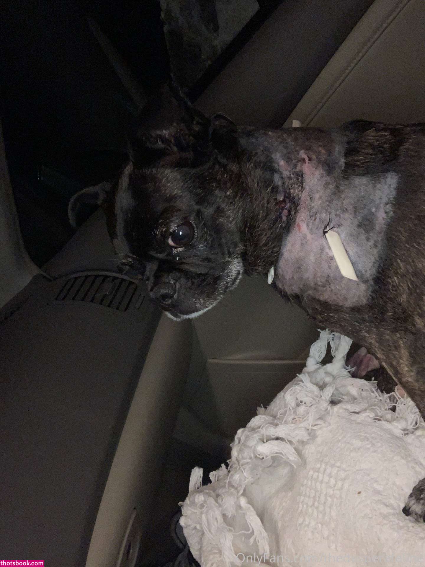 thedesperate0ne Photo #114