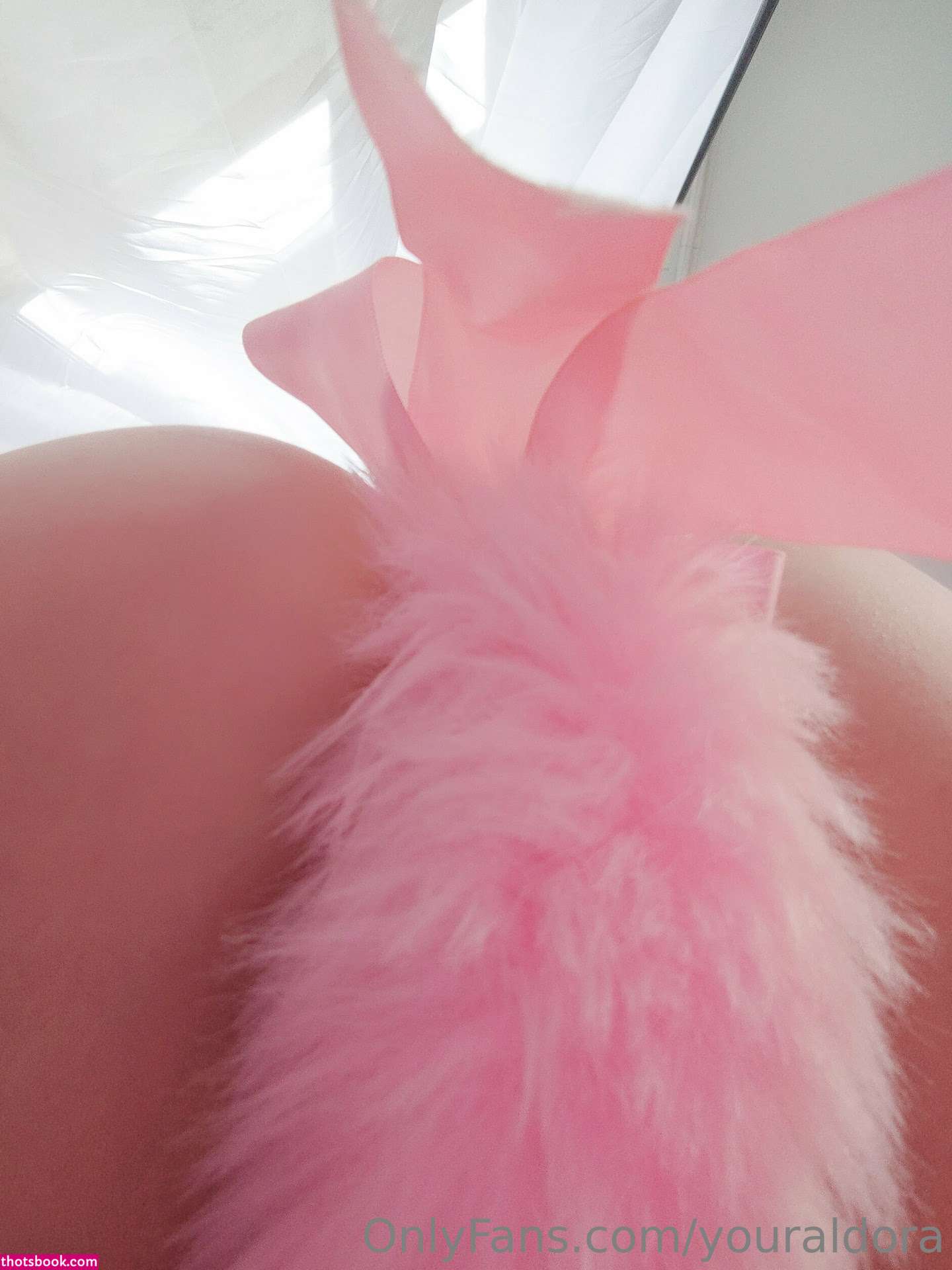 aldorachan Photo #166